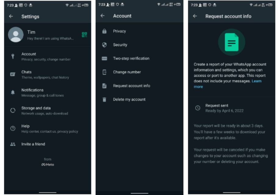 Request WhatsApp report