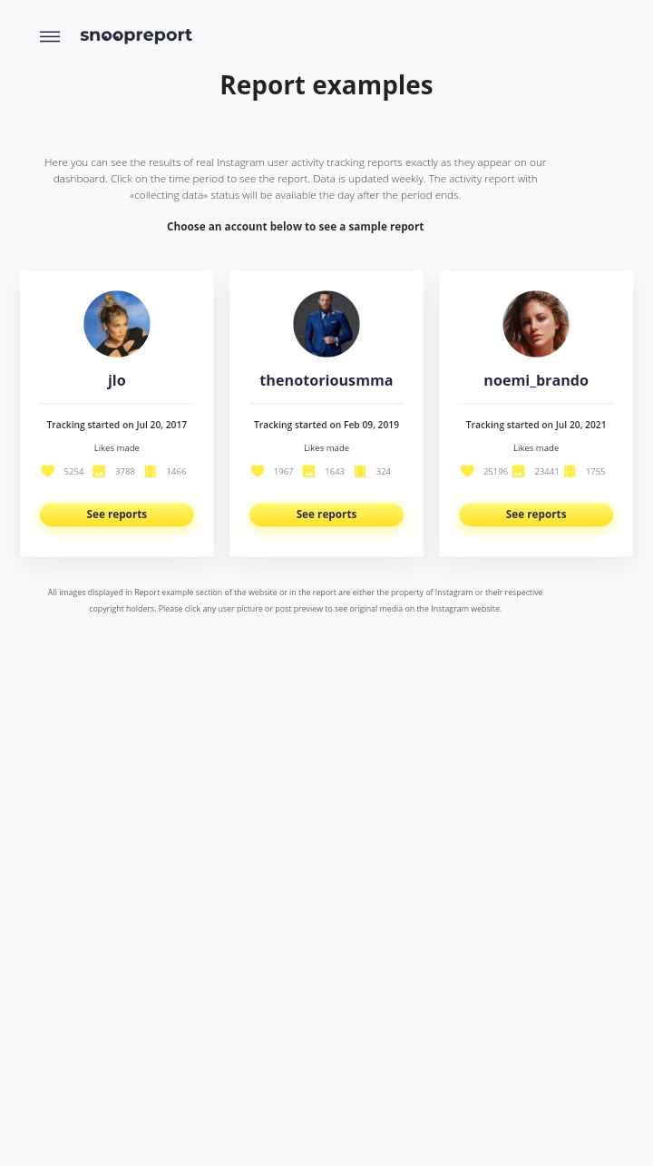 Snoopreport website